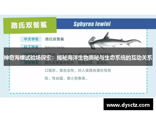 神奇海螺试验场探索：揭秘海洋生物奥秘与生态系统的互动关系